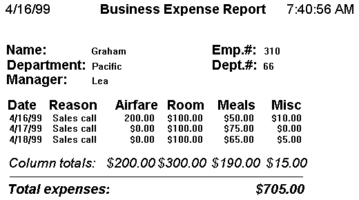 Business Expense Report preview