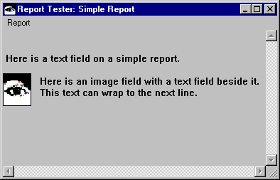 Report Tester